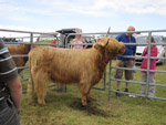Carloway 2011