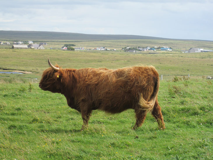 Mairi a’ Ghlinne of Brue