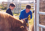 Preparing for show